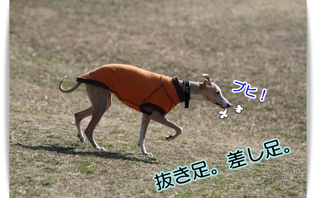 e0100007_22142625.jpg
