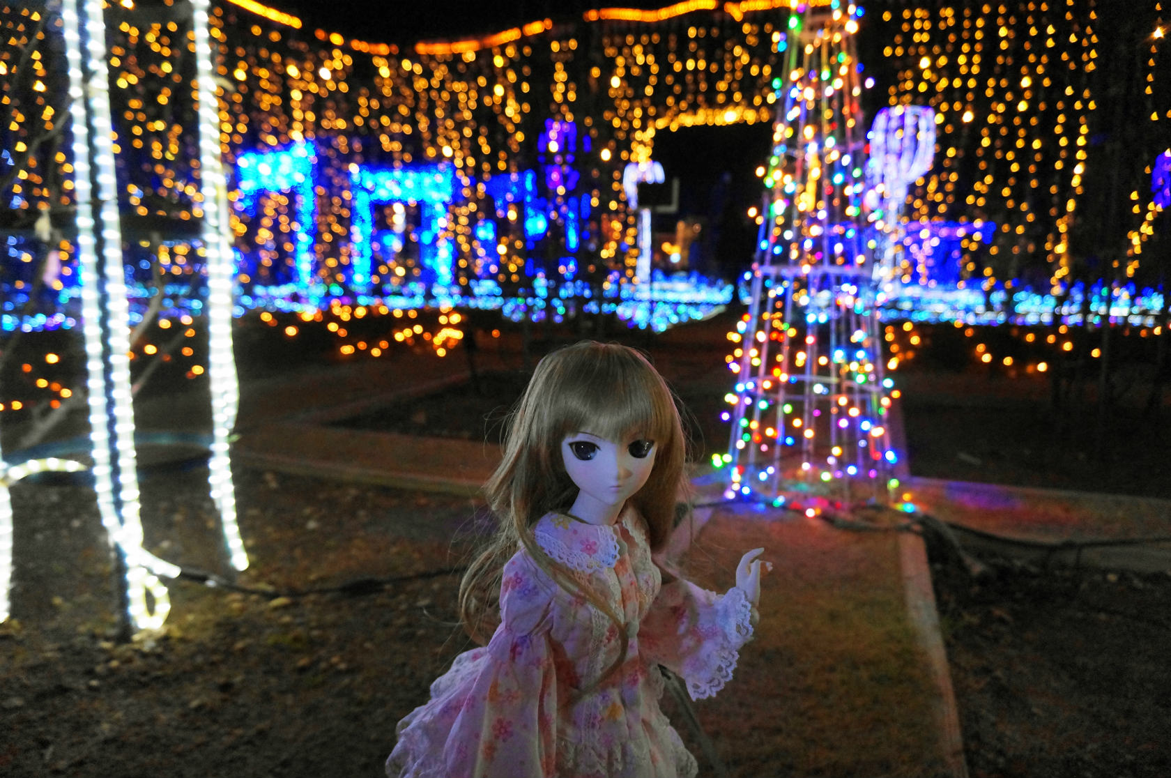 f0217711_21323329.jpg