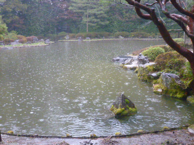 d0178017_11505517.jpg