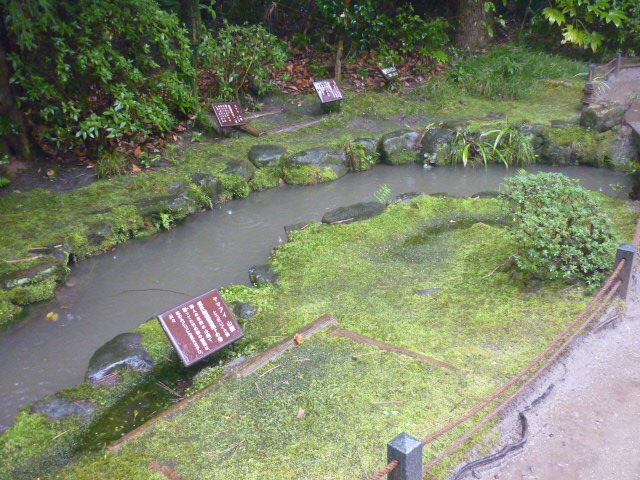 d0178017_11513651.jpg
