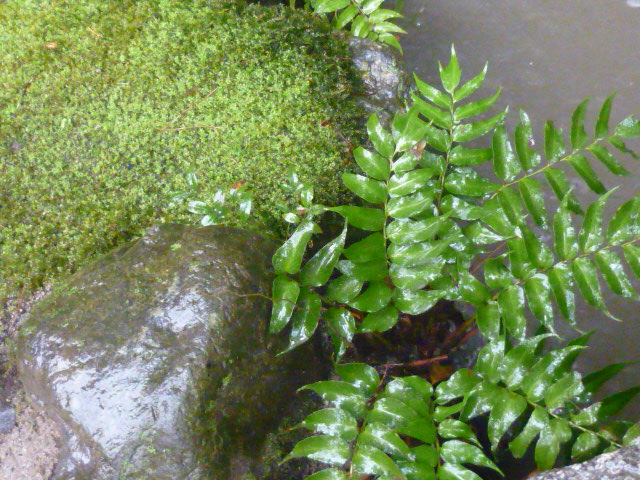 d0178017_11541455.jpg