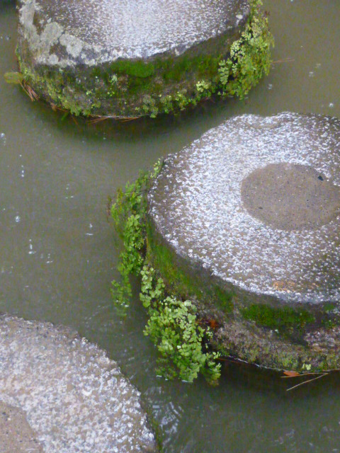d0178017_13124301.jpg