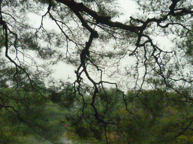 d0178017_13143495.jpg