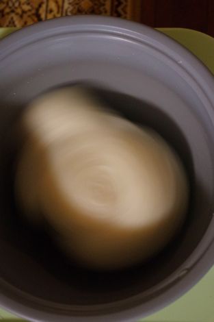 e0114020_1575411.jpg