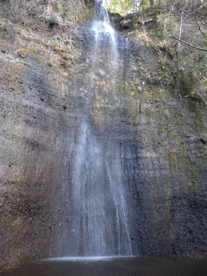 e0272335_17442017.jpg