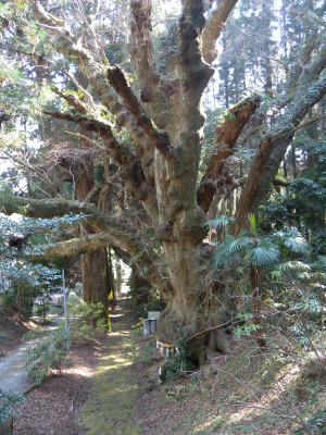 e0272335_2011138.jpg