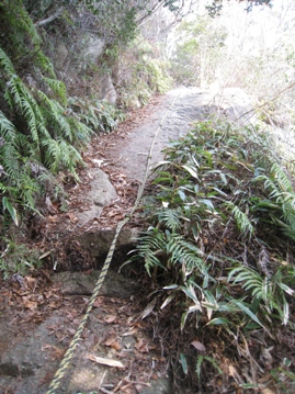 c0077338_22304615.jpg