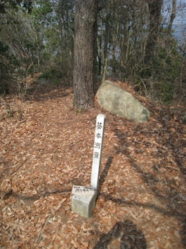 c0077338_2231313.jpg