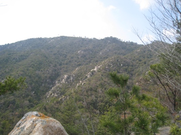 c0077338_22313214.jpg