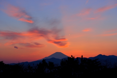 c0314839_11114118.jpg