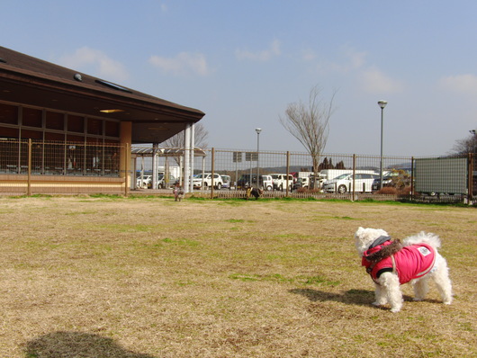 b0254548_9101351.jpg