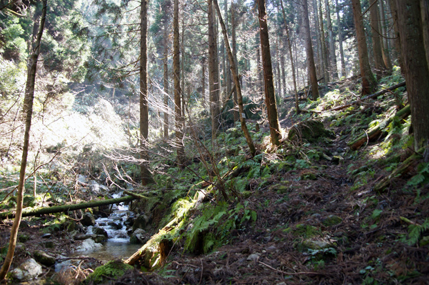 f0214649_21104958.jpg