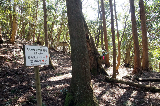 f0214649_21211272.jpg