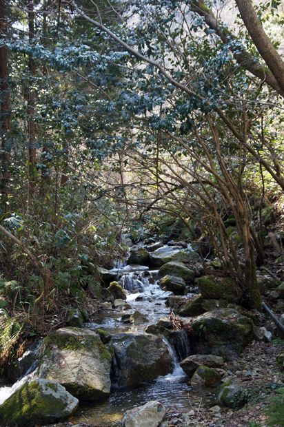 f0214649_2172535.jpg