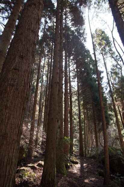 f0214649_2195843.jpg