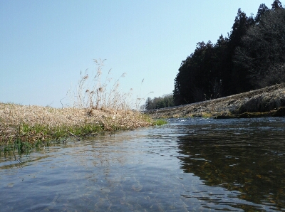 b0304662_2043969.jpg
