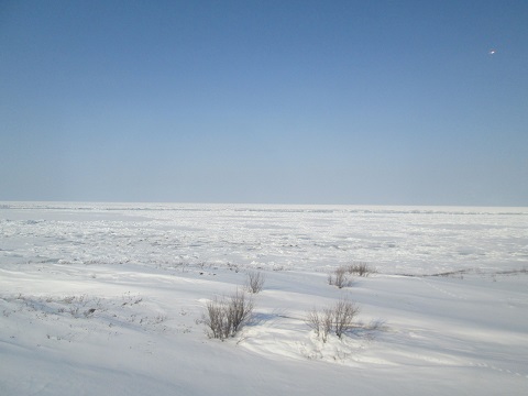 d0029363_12171247.jpg