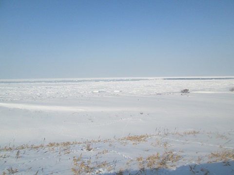 d0029363_12175760.jpg