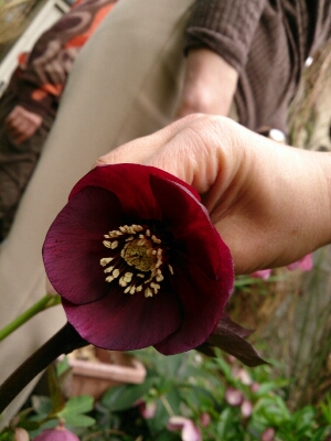 f0146466_21133929.jpg