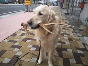 f0321567_1163310.jpg