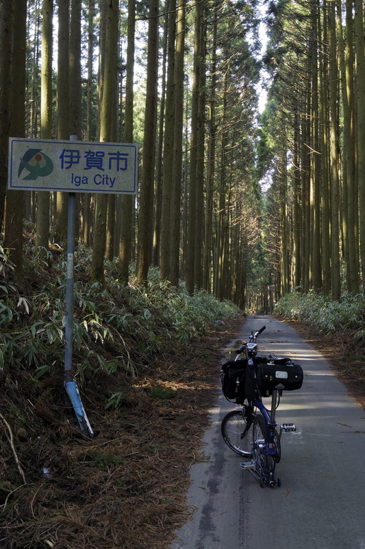 c0177576_1883189.jpg