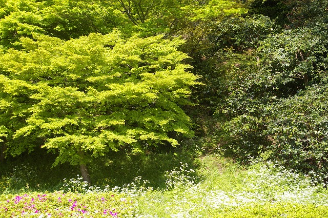 f0168478_05239.jpg
