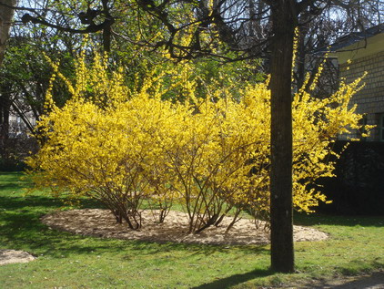 a0247585_73971.jpg