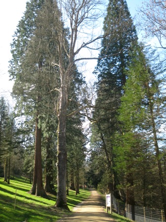 f0141785_6272851.jpg