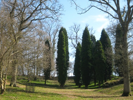 f0141785_6524614.jpg
