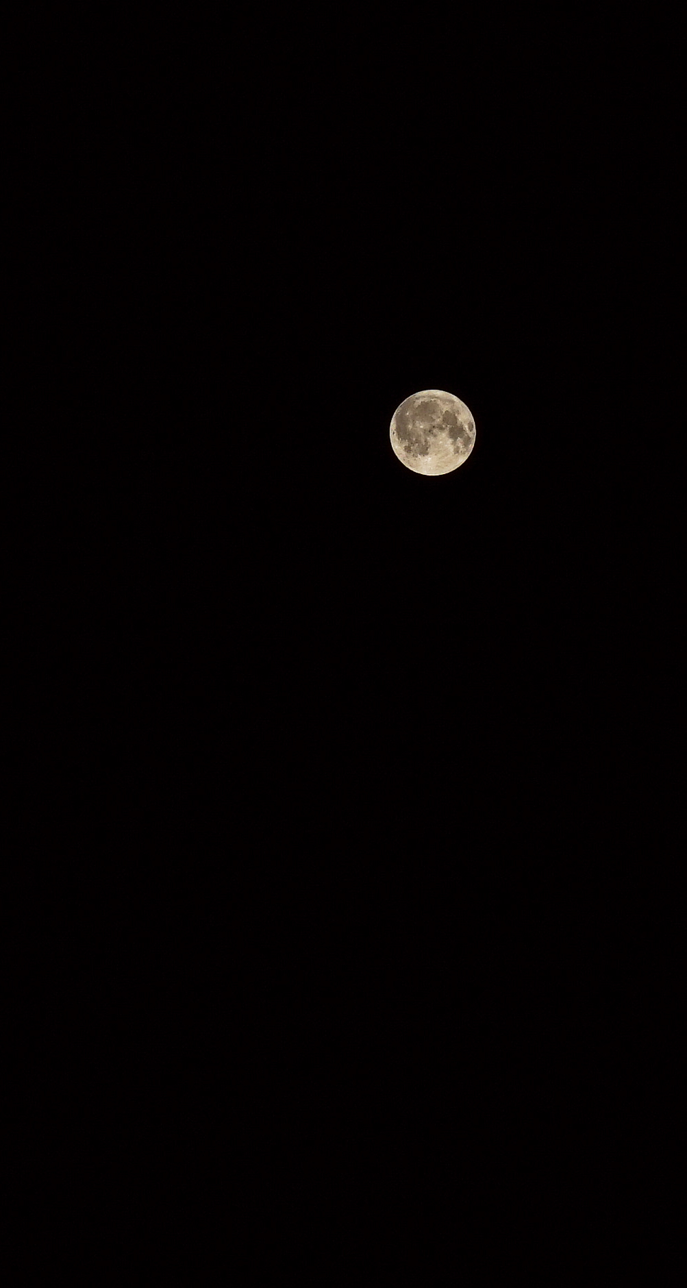 a0185693_1292039.jpg