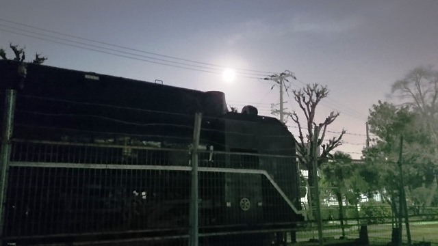 e0167593_265477.jpg