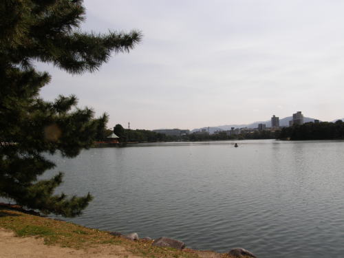 e0017396_22432899.jpg