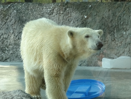 a0125598_22270463.jpg