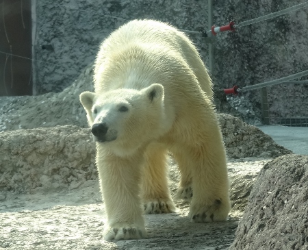 a0125598_22272870.jpg