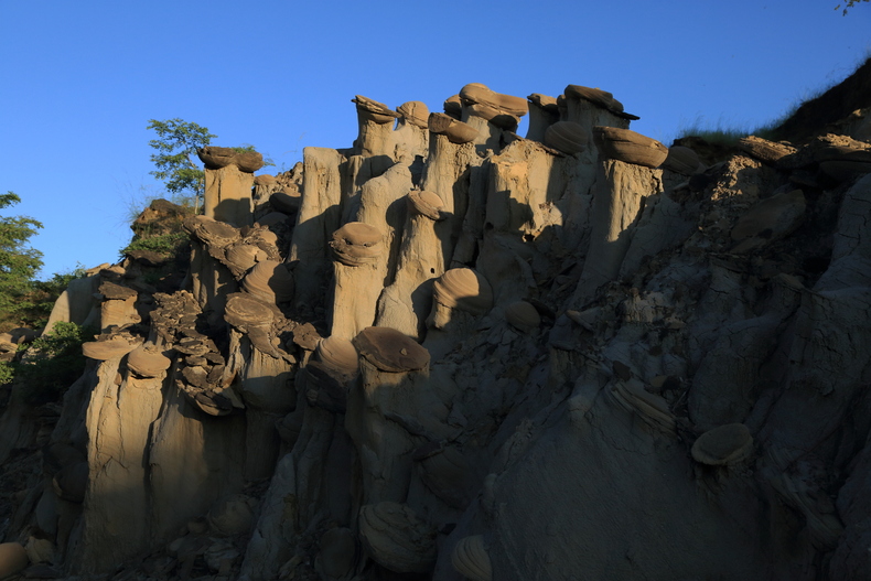 c0248100_136230.jpg