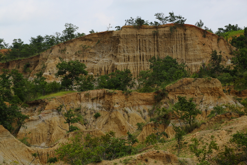 c0248100_1414480.jpg