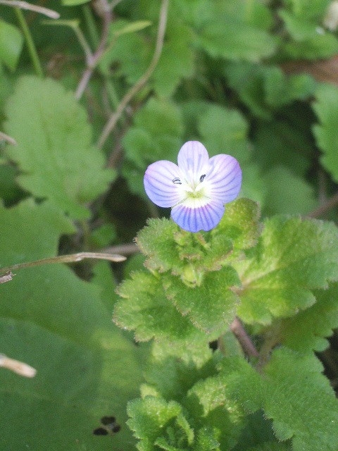 e0025300_18214025.jpg