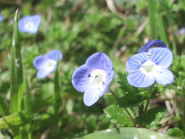 e0025300_1822194.jpg