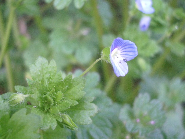 e0025300_18244097.jpg