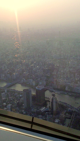 c0156703_1844213.jpg