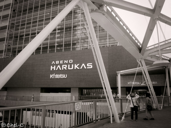 a0154706_12445790.jpg