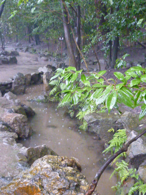 d0178017_13144831.jpg