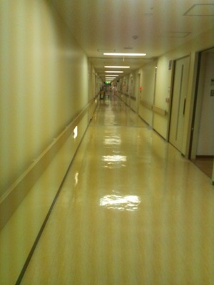 e0196130_20421915.jpg