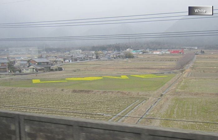 c0227134_0453548.jpg