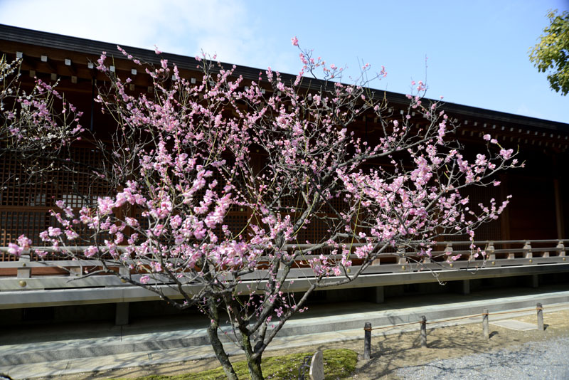 b0042837_21204959.jpg