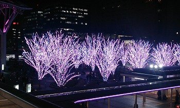 c0171349_11191966.jpg