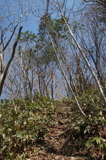 f0214649_4435352.jpg