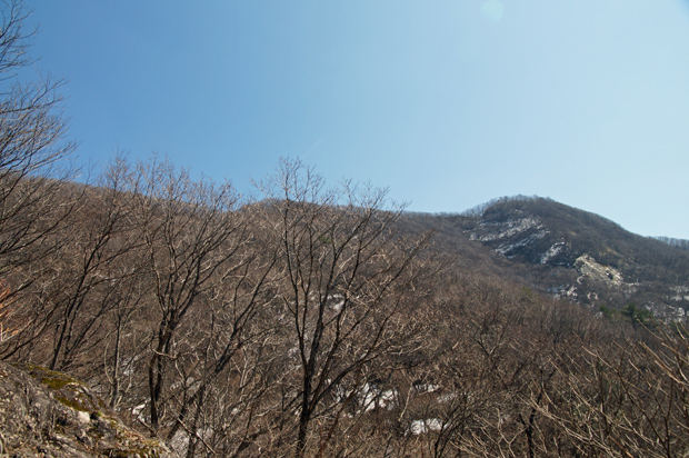 f0214649_446060.jpg