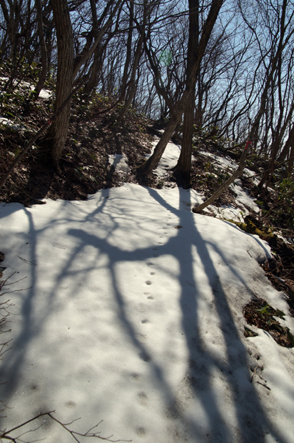 f0214649_457208.jpg