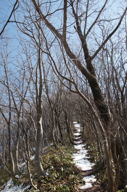 f0214649_53141.jpg
